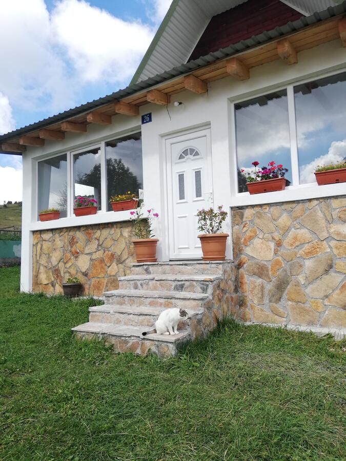 Апартаменты Apartments Baron Žabljak Жабляк-7