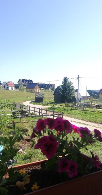 Апартаменты Apartments Baron Žabljak Жабляк-54