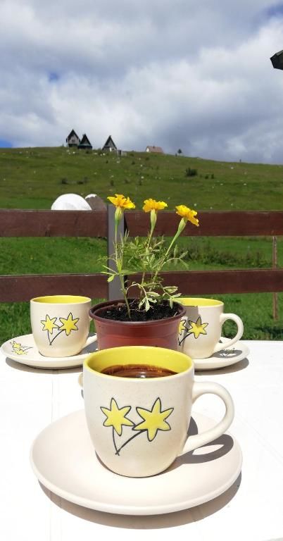 Апартаменты Apartments Baron Žabljak Жабляк-55