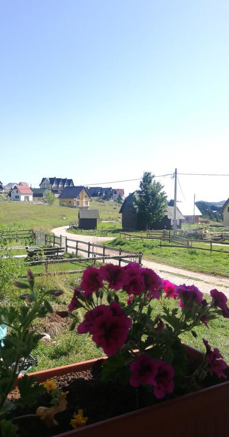 Апартаменты Apartments Baron Žabljak Жабляк-11