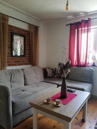 Апартаменты Apartments Baron Žabljak Жабляк Дом с 4 спальнями-9