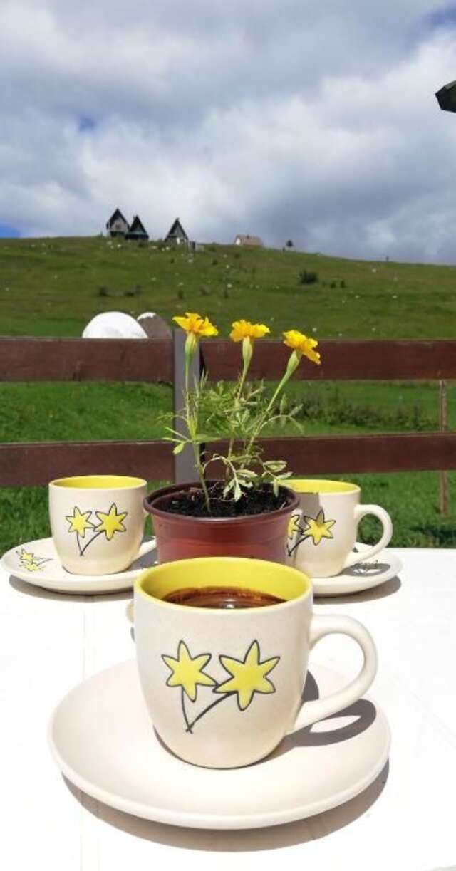 Апартаменты Apartments Baron Žabljak Жабляк-54